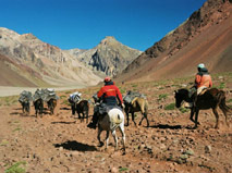 Trekking Aconcagua with Patagonia Adventure Trip at Mendoza, Argentina