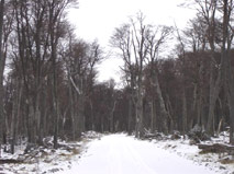 Winter hike in Bariloche with Patagonia Adventure Trip