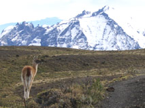 Torres del Paine Round Circuit - Trekking with Patagonia Adventure Trip
