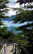 Patagonia Adventure Trip: Patagonia travel & trekking - Perito Moreno glacier